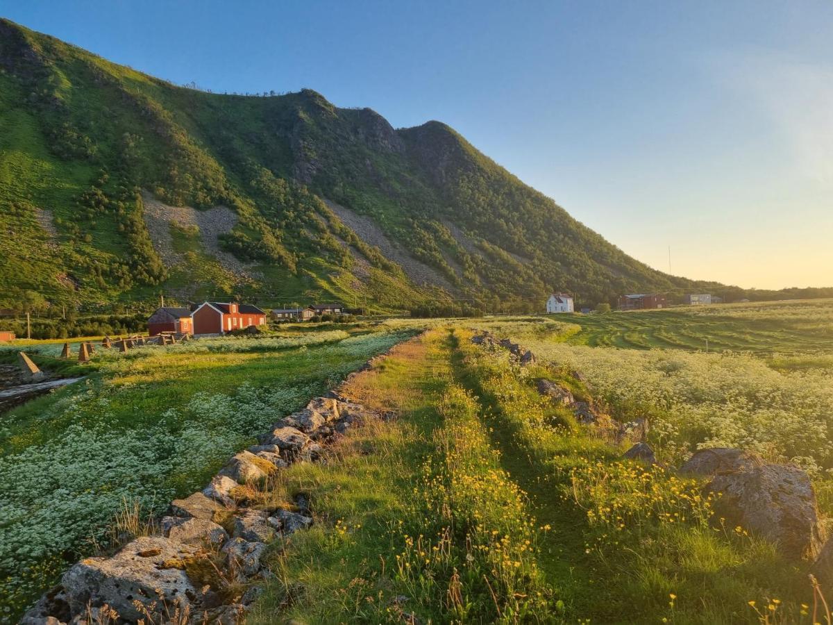 Villa Walter Lofoten With Sauna Kvalnes  Extérieur photo