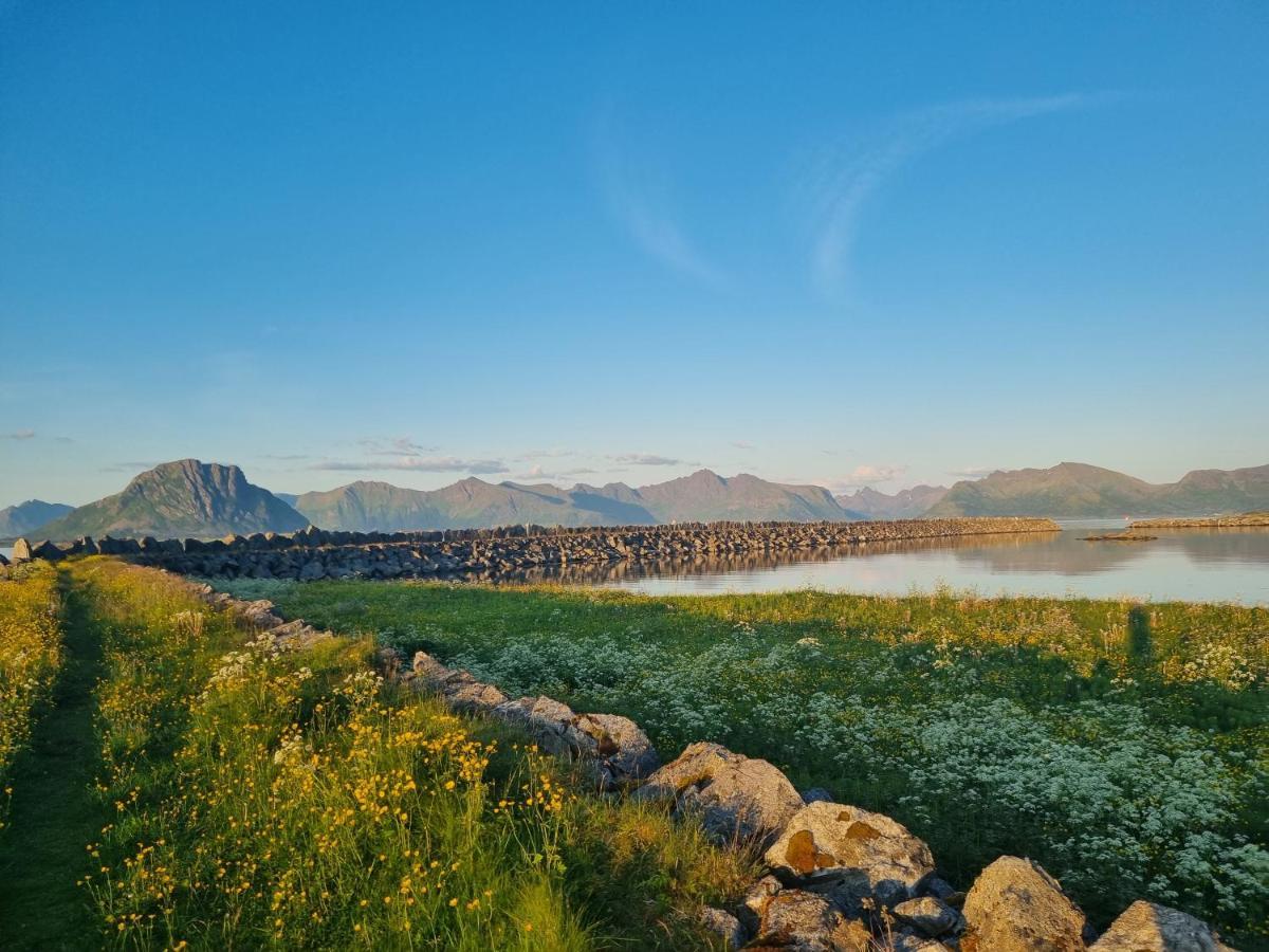 Villa Walter Lofoten With Sauna Kvalnes  Extérieur photo